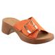 Alegro Tangerine alternate view 1